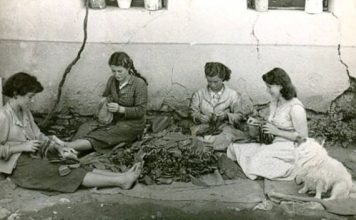 “Μικρό Θέατρο” 2013-2014