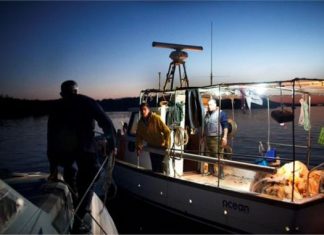 Αμβρακικός: Αφανίζουν τις γαρίδες με την παράνομη αλιεία