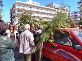 Φυτικό υλικό θα μοιράσει το Δασαρχείο Αγρινίου
