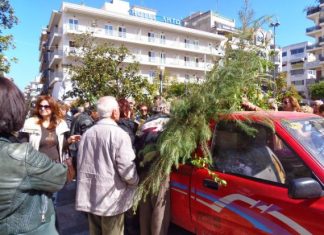 Φυτικό υλικό θα μοιράσει το Δασαρχείο Αγρινίου