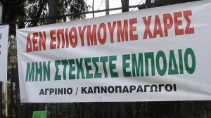 οι αγρότες – παραγωγοί φβ