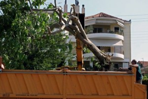 πάρκο (1)