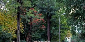 Οι πέτρες του Πάρκου και το μειδίαμα στο Δημοτικό Συμβούλιο