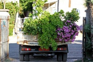 πάρκο (4)