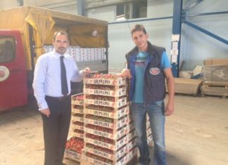 Ανδρέας Κατσανιώτης: Να προφυλάξουμε εξαγώγιμα προϊόντα, όπως φράουλα