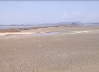 “Η Κοινωνία Μπροστά” : Να σταματήσει το περιβαλλοντικό έγκλημα στην Πλώσταινα