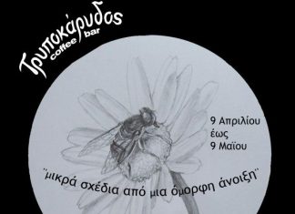 Εκθεση σχεδίου «μικρά σχέδια από μια όμορφη άνοιξη» @ Τρυποκάρυδος