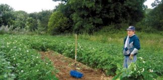 Υποβλήθηκαν 1.244 αιτήσεις για Σχέδια Βελτίωσης στην Περιφέρεια Δυτικής Ελλάδας