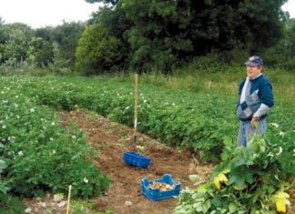 Ανεπαρκής και καταστροφική η πολιτική στον αγροτικό κόσμο