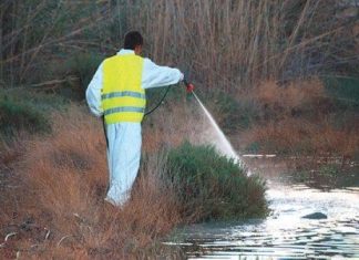 Δήμο Μεσολογγίου: Ξεκινούν οι ψεκασμοί κατά των κουνουπιών