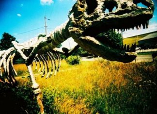 Οι τελευταίοι δεινόσαυροι