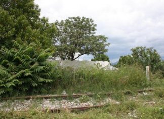 Εγκατάλειψη στο μνημείο των εκτελεσθέντων στα Καλύβια