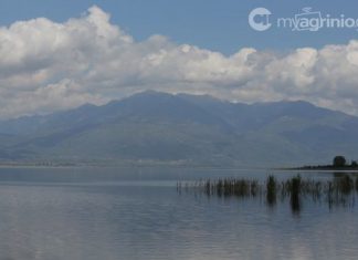 Ημερίδα του Κ.Π.Ε. Θέρμου στο 16ο Δημοτικό Σχολείο Αγρινίου για τα οικοσυστήματα της Αιτωλοακαρνανίας