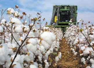 Μεγάλη απάτη από πέντε βαμβακοπαραγωγούς στην Αιτωλοακαρνανία