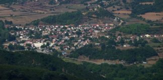 Την Κυριακή κόβει την πίτα του ο Σύλλογος Χαλκιοπουλιτών Αθήνας