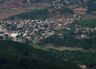 Την Κυριακή κόβει την πίτα του ο Σύλλογος Χαλκιοπουλιτών Αθήνας