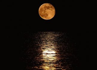 Πανσέληνος Αυγούστου: Εκδηλώσεις στη Νέα Πλευρώνα και το Πάρκο Θερβάντες στη Ναύπακτο