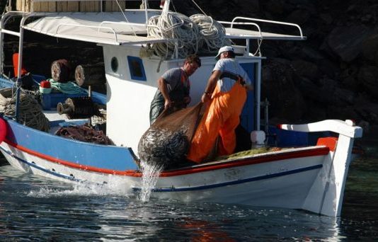 Δυτική Ελλάδα: Την Τρίτη 30 Αυγούστου η τελική εκδήλωση του ARIELPLUS