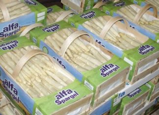 Πρόσληψη εργατών στον Α.Σ. “Αχελώος”