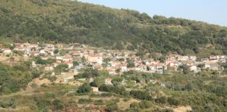 Την Κυριακή 9/10 η Γιορτή Κάστανου στο Άνω Κεράσοσβο