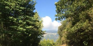 Εγκρίθηκε το έργο «Δημοτική Οδοποιία Τοπικής Κοινότητας Πετρώνας»