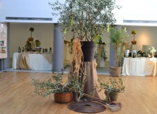 Εκδήλωση στο Αγρίνιο με θέμα «Ελαιοκομία-Πυλώνας Οικονομικής Ανάπτυξης»