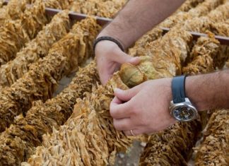 Η νέα «επαναστατική» μέθοδος της Παπαστράτος