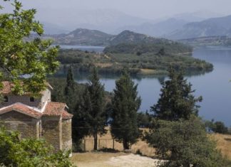 Αντίδρασεις στο Μπαμπαλιό με αφορμή την υλοτόμηση σε δάσος