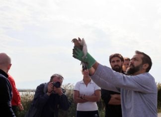 Με επιτυχία η ημέρα γιορτής των πουλιών στην Κλείσοβα