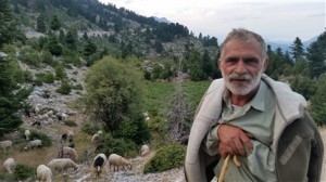 κτηνοτρόφος