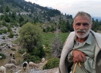 Κραυγή απόγνωσης από τους κτηνοτρόφους της Κοιλάδας του Αχελώου