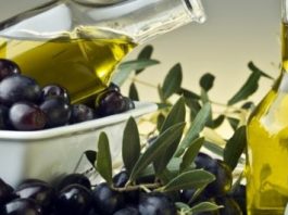 Ημερίδα στο Αγρίνιο για τον ελαιοκομικό τομέα από την “Βιοτριχωνίς”