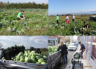 O δημοτικός Λαχανόκηπος στηρίζει το Κοινωνικό Παντοπωλείο