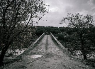 Ορεινός Βάλτος