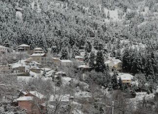 Κόβουν την πίτα τους οι Κρυονερίτες στη Ναυπακτία