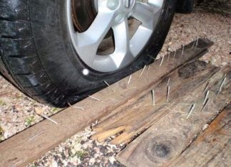 Η παγίδα των λαθροθήρων στο Αμβρακικό για να σταματήσουν τους ελέγχους του Φορέα Διαχείρισης