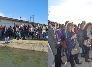 «Πρόγραμμα Περιβαλλοντικής Εκπαίδευσης: σχεδιάζω-υλοποιώ» στο Φορέα Διαχείρισης Λιμνοθάλασσας Μεσολογγίου