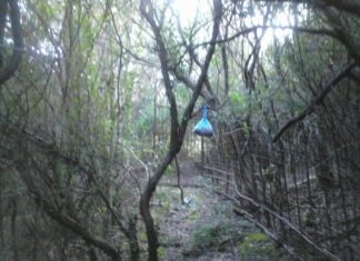 Βόνιτσα: Θηροφύλακες κατέστρεψαν παράνομη παγίδα για αγριόχοιρους