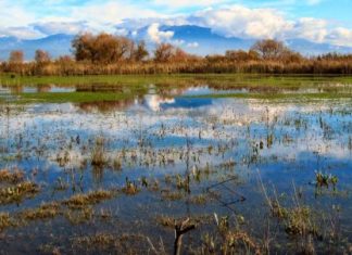 Υπερχείλισε ο Δίμικος – Πλημμύρες στα χωράφια του Αγγελοκάστρου