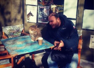 Τα πρώτα πηγαδάκια με ψηφοφόρους του ΓΑΠ