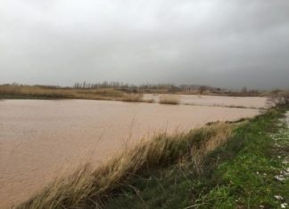Πνίγηκαν χωράφια στις εκβολές του Ευήνου στο Γαλατά