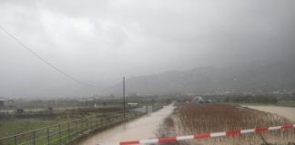 Δήμος Αγρινίου: Δηλώσεις ζημιών στους ανταποκριτές του ΕΛΓΑ μέχρι και την Παρασκευή 29-01