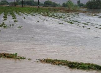 Αιτωλοακαρνανία: Καταστροφές και στις καλλιέργειες