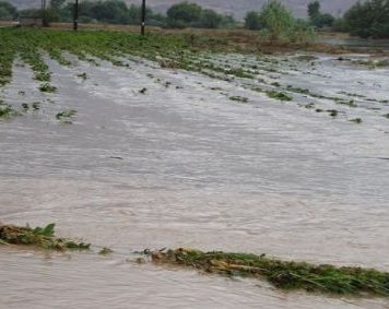 Αιτωλοακαρνανία: Καταστροφές και στις καλλιέργειες