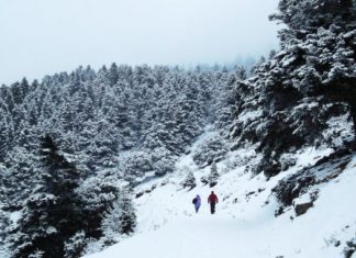 Ορεινή Ναυπακτία: Εγκλωβίστηκε στα χιόνια εξαμελής οικογένεια