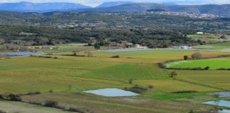 Παράταση για την κτηματογράφηση σε Αιτωλοακαρνανία και Ηλεία ζητά ο Απ. Κατσιφάρας