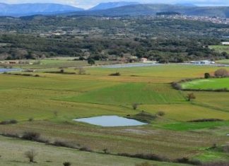 Δασικοί Χάρτες: Έως τις 3/12 οι αντιρρήσεις στην Αιτωλοακαρνανία