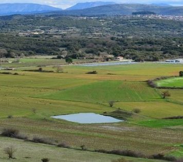 Αναδιάρθρωση και μετατροπή αμπελώνων στην Αιτωλοακαρνανία