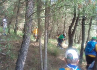 Ένα μεγάλο “ευχαριστώ” από τους Προσκόπους