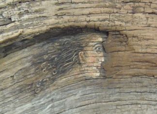 Η έκθεση ζωγραφικής του Θανάση Βαλαώρα στη Δημοτική Αγορά